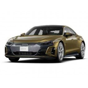 Audi e-TRON GT 2022 SPECIAL EDITION (groen), Maisto