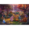 Disney Robin Hood 1000 stukjes puzzel