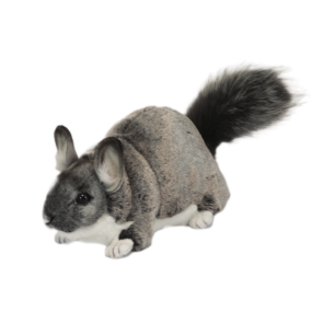 Chinchilla Grijs/wit, 30cm - Hansa Creation