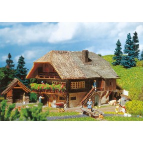 Boerderij Schwarzwald, H0 1:87, Faller
