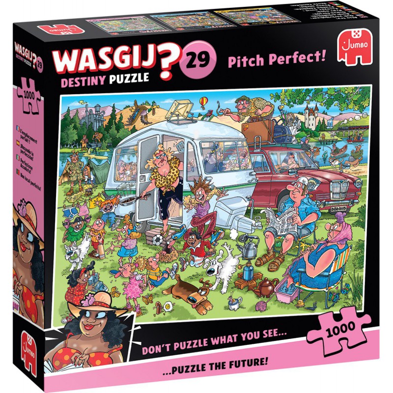 Wasgij Destiny 29 Op de camping, 1000stukjes