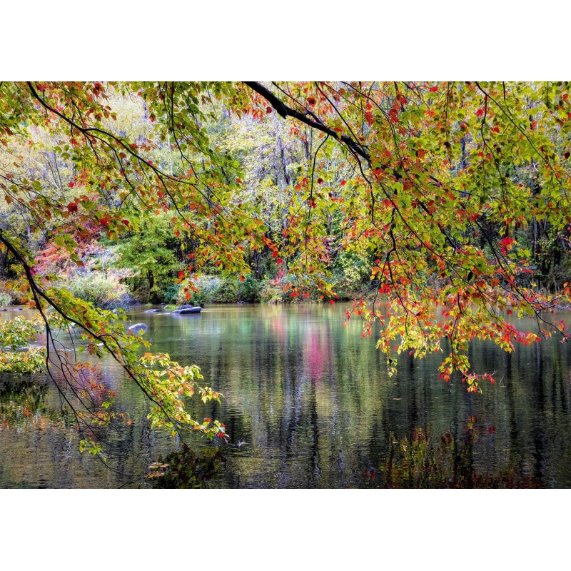 Branches On the Edge of the River 1000 stukjes Alipson puzzel