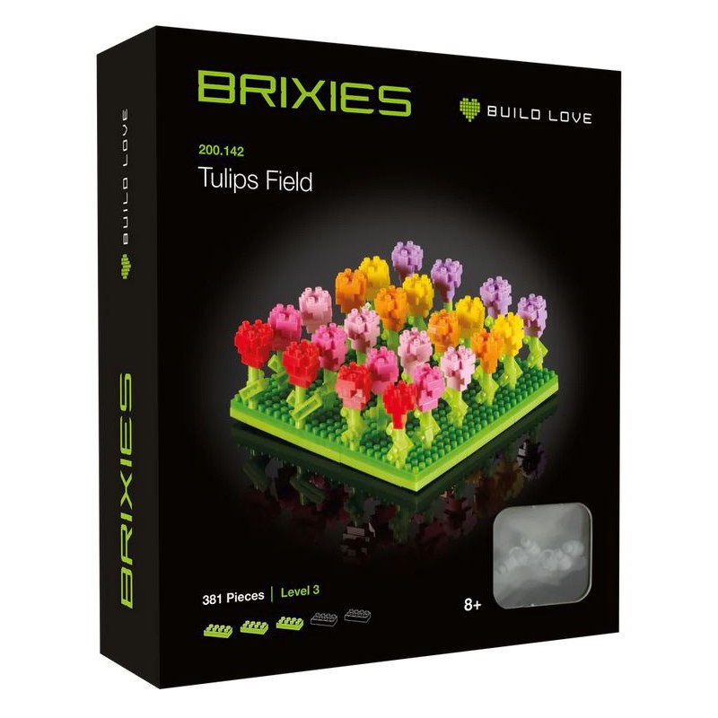 Brixies - Tulpenveld, 381st