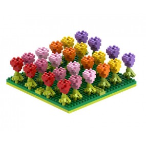 Brixies - Tulpenveld, 381st