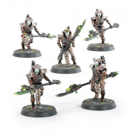 Necrons: Triarch Praetorians (Lychguard), Warhammer 40.000