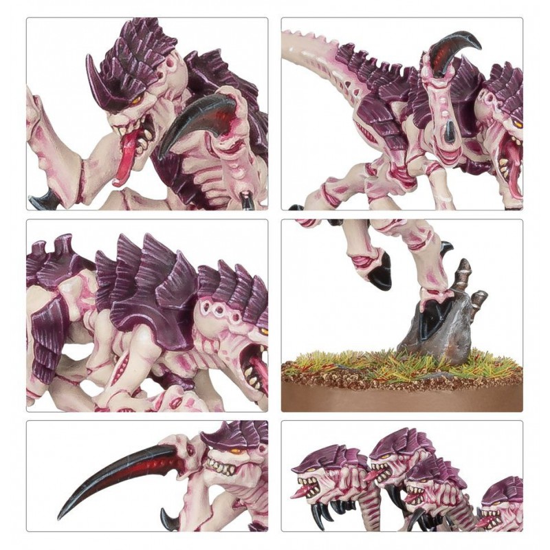 Tyranids: Hormagaunts, Warhammer 40.000