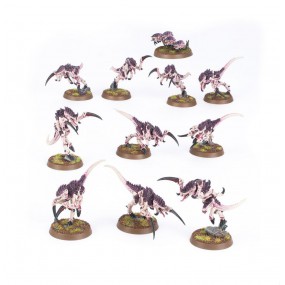 Tyranids: Hormagaunts, Warhammer 40.000