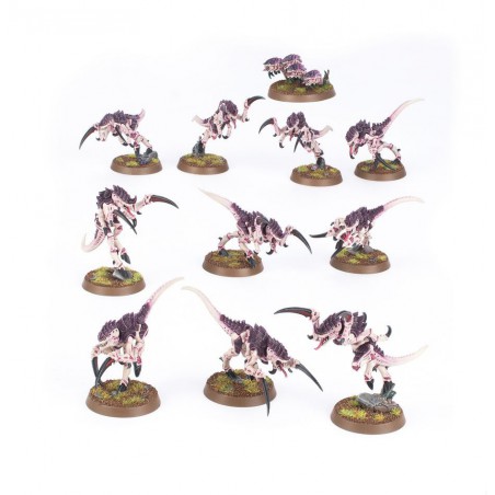 Tyranids: Hormagaunts, Warhammer 40.000