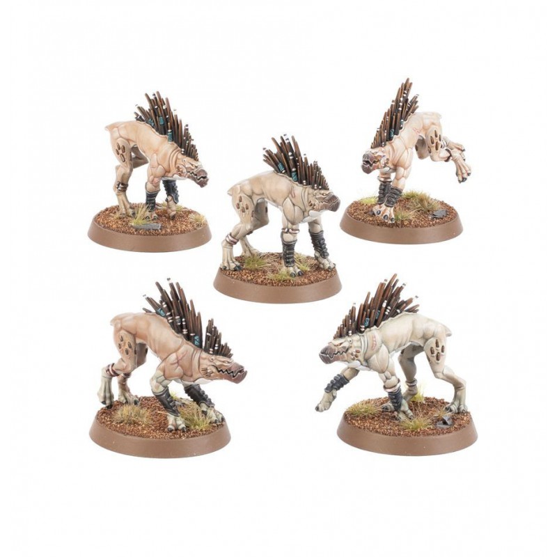 Tau Empire: Kroot Hounds, Warhammer 40.000