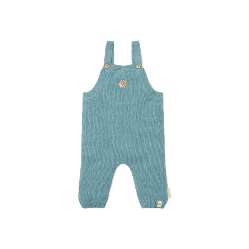 Gebreid boxpakje, blauw - Forest Friends, Little Dutch