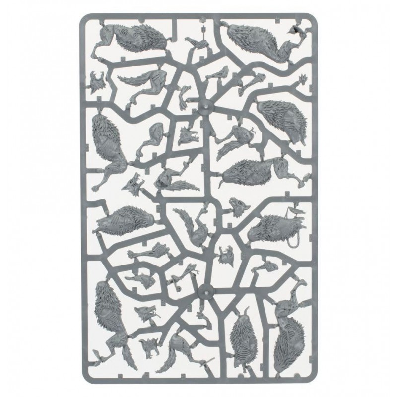 Soulblight Gravelords: Dire Wolves, Age of Sigmar