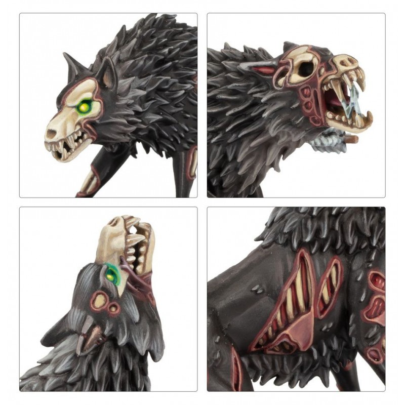 Soulblight Gravelords: Dire Wolves, Age of Sigmar