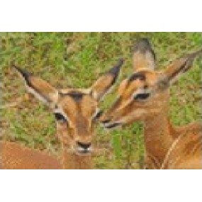 Pixel hobby, Zwart-Wit patroon voor 4 basisplaten - Tweeling Impala