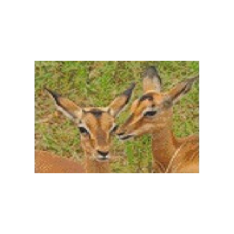 Pixel hobby, Zwart-Wit patroon voor 4 basisplaten - Tweeling Impala