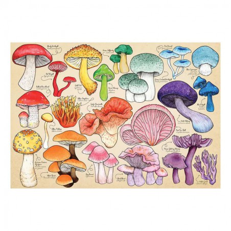 Mushroom mania, 1000 stukjes The House of Puzzles