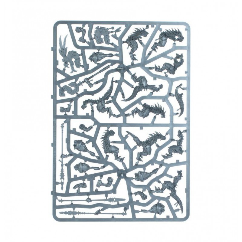 Spearhead: Seraphon, Age of Sigmar