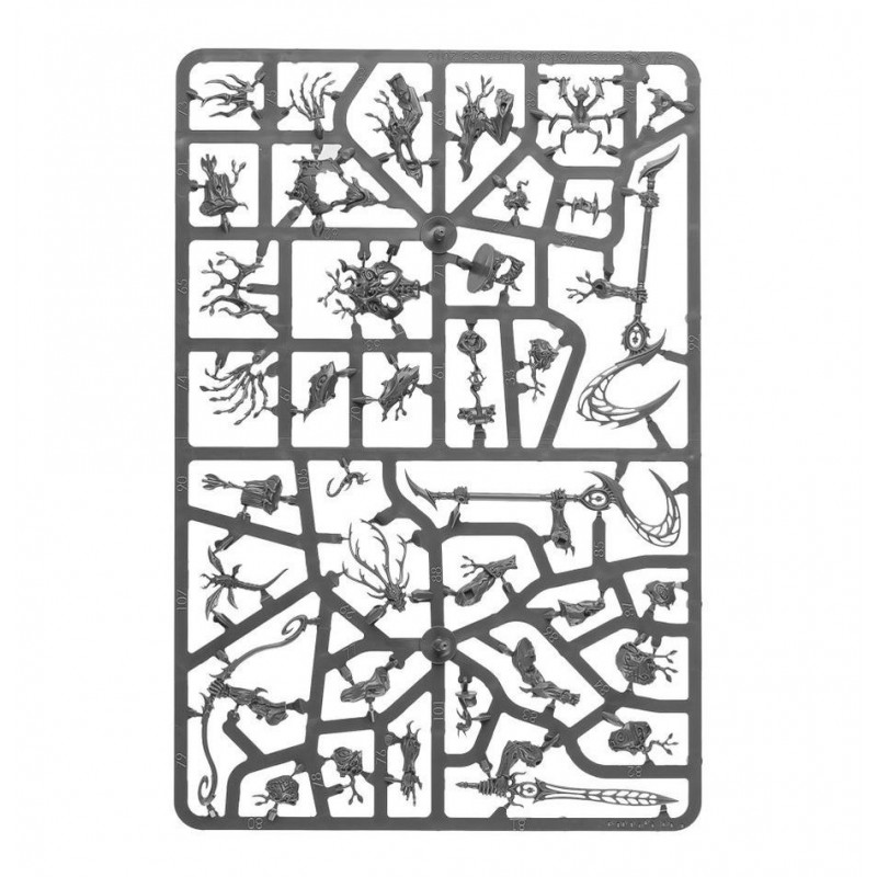 Spearhead: Sylvaneth, Age of Sigmar