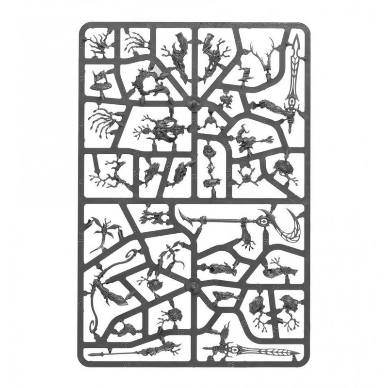 Spearhead: Sylvaneth, Age of Sigmar