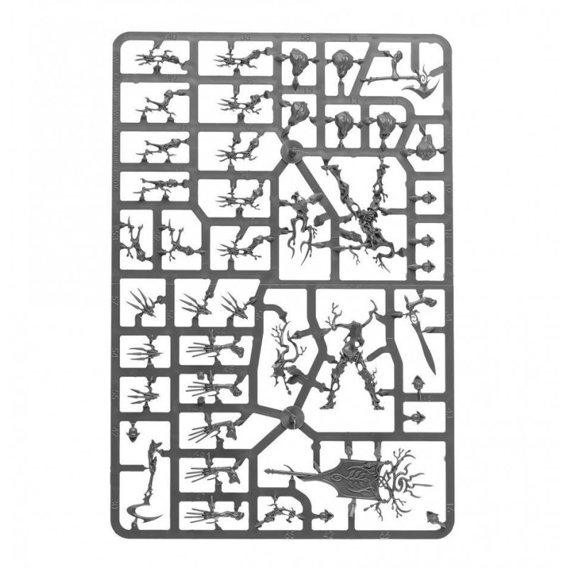 Spearhead: Sylvaneth, Age of Sigmar