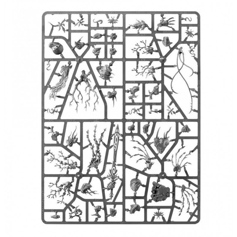 Spearhead: Sylvaneth, Age of Sigmar