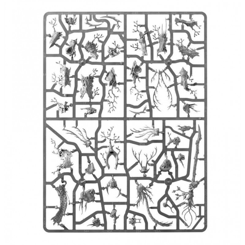 Spearhead: Sylvaneth, Age of Sigmar