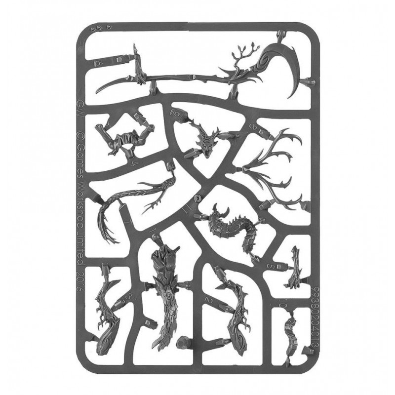 Spearhead: Sylvaneth, Age of Sigmar