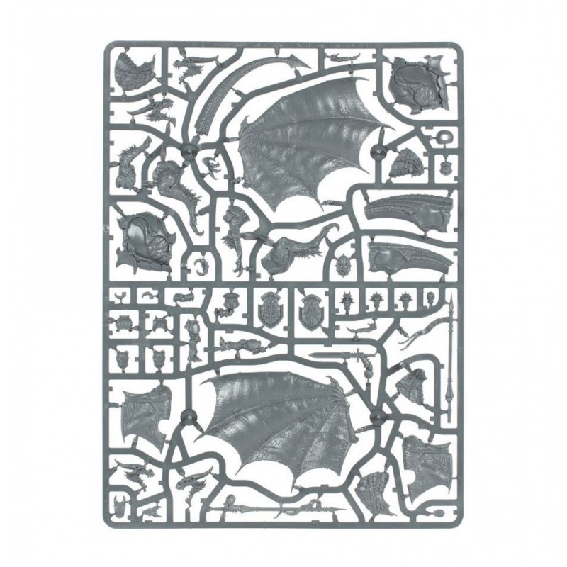 Stormcast Eternals: Stormdrake Guard (Knight-Draconis), Age of Sigmar