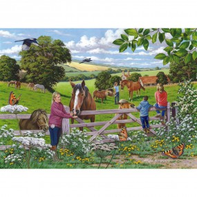 Sugar lumps, 250XL stukjes The House of Puzzles