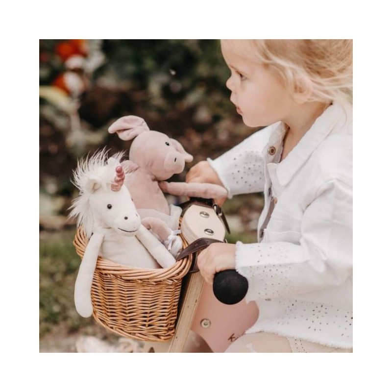 Kinderfeets - Rieten fietsmand