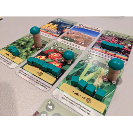 Earth - Bordspel, Geronimo Games
