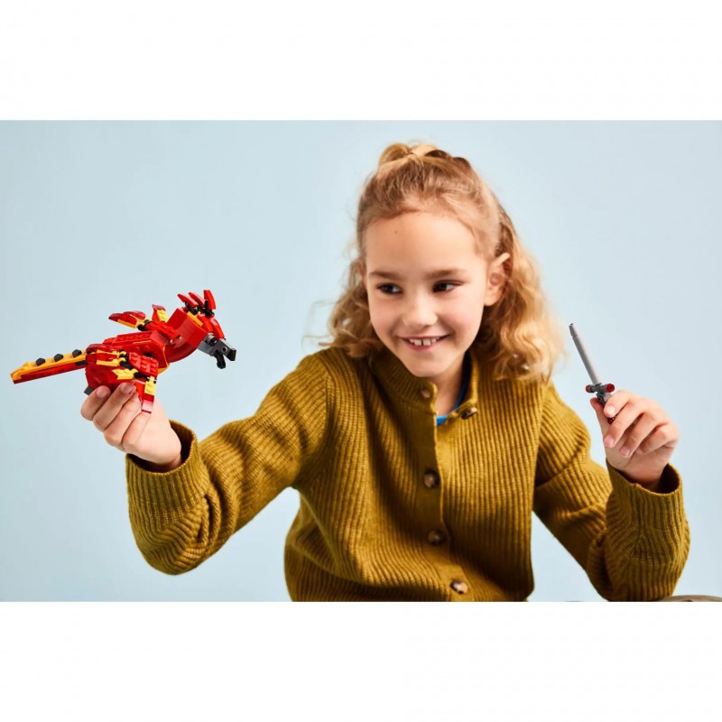 LEGO HARRY POTTER - 76448 Felix: de feniks van Perkamentus