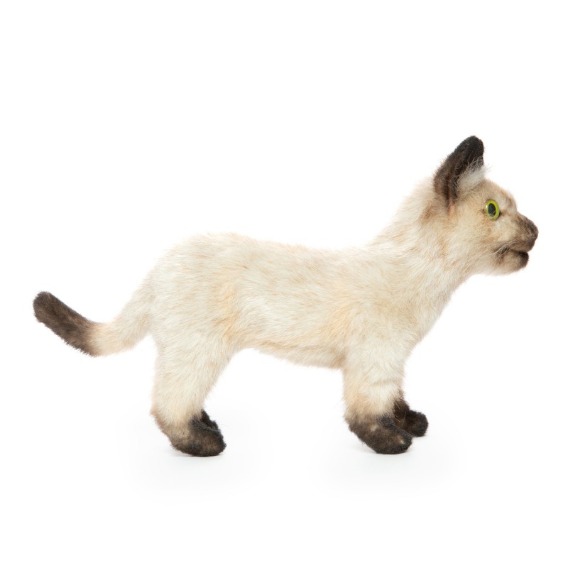 Siamese kat kitten zwart/wit, 33cm - Hansa Creation