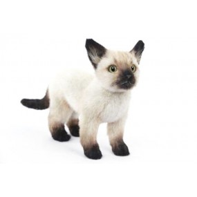 Siamese kat kitten zwart/wit, 33cm - Hansa Creation
