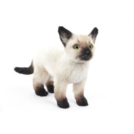 Siamese kat kitten zwart/wit, 33cm - Hansa Creation Siamese kat kitten zwart/wit, 33cm - Hansa Creation