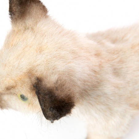 Siamese kat kitten zwart/wit, 33cm - Hansa Creation Siamese kat kitten zwart/wit, 33cm - Hansa Creation