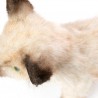 Siamese kat kitten zwart/wit, 33cm - Hansa Creation Siamese kat kitten zwart/wit, 33cm - Hansa Creation