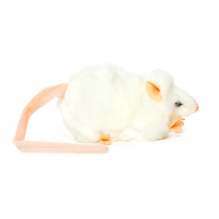 Rat wit, 12cm - Hansa Creation Rat wit, 12cm - Hansa Creation