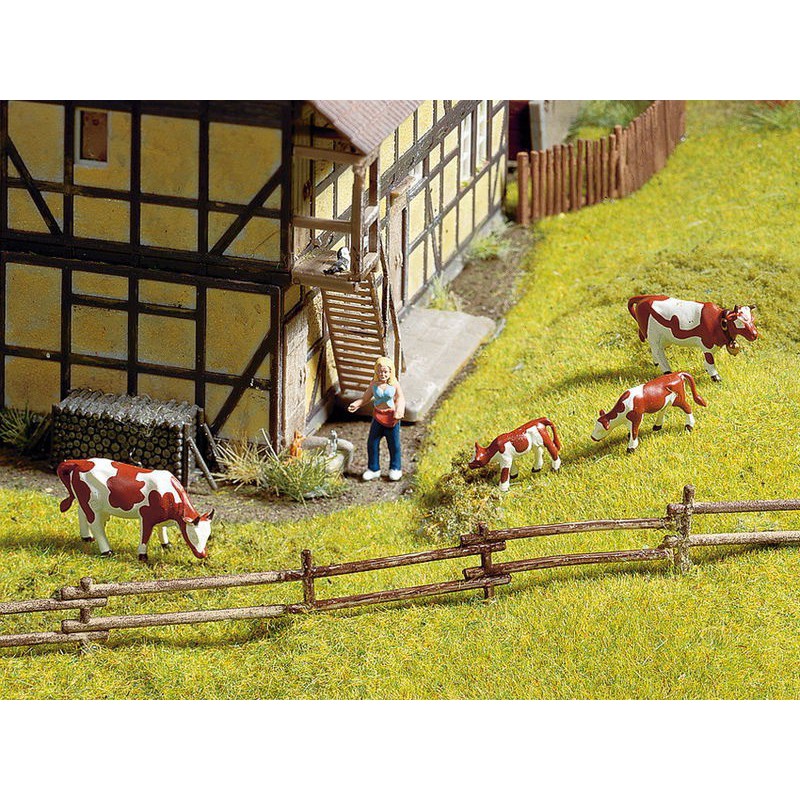 Weide Veld Afrastering, H0, Noch