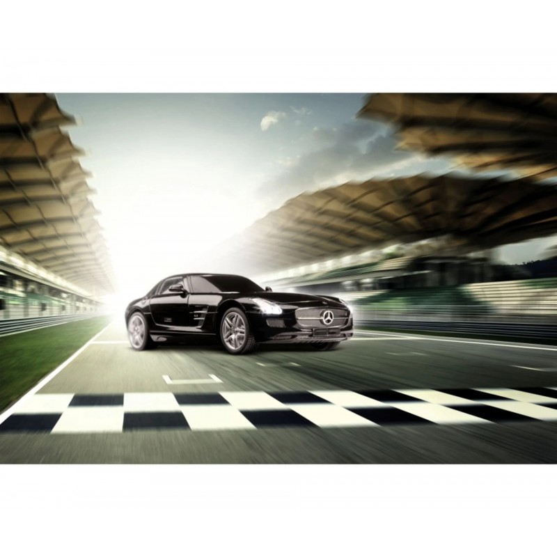 Mercedes Benz SLS AMG RTR 1:24, Carson