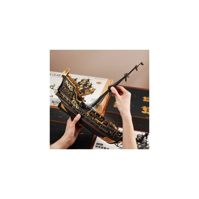 The Seahorse Barque, DIY mechanisch houtwerk, Rokr