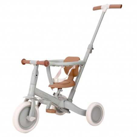 Driewieler 4 in 1, Green Leaf - Little Dutch