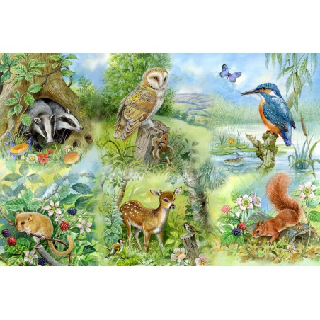 Nature Study, Hop 250 stukjes XL