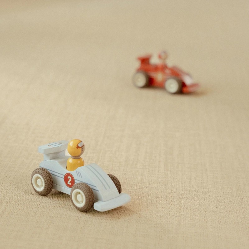 Racewagens pullback met figuur FSC - Little Dutch