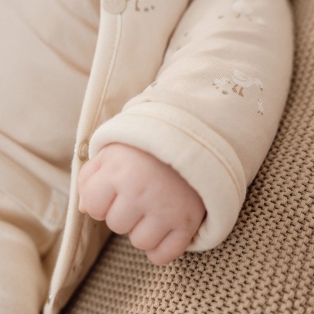 Omkeerbaar vestje -  Little Goose, Little Dutch