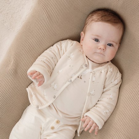 Omkeerbaar vestje -  Little Goose, Little Dutch