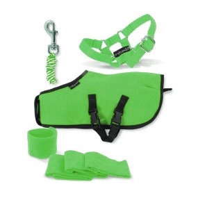 Crafty Ponies - Fleecedeken set, groen