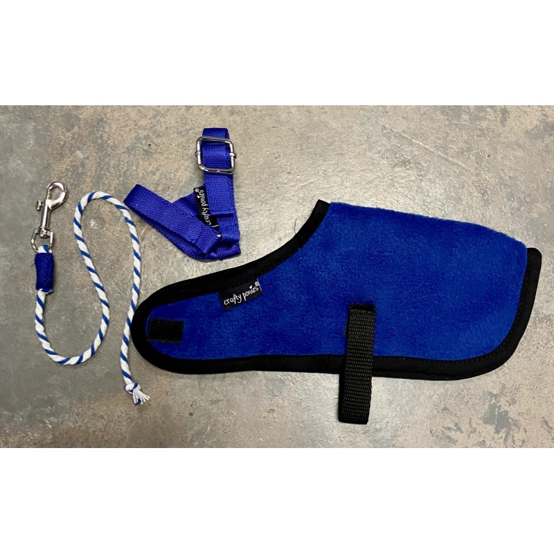 Crafty Ponies - Veulendekenset, blauw