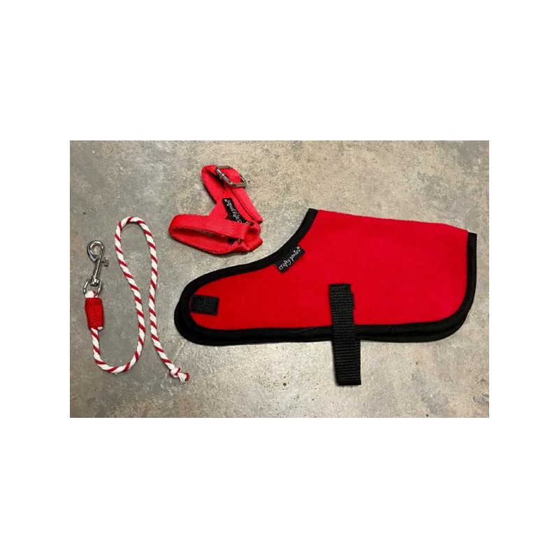 Crafty Ponies - Veulendekenset, rood