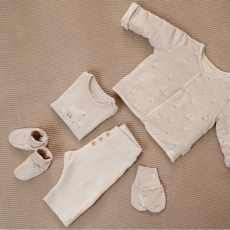 Slofjes -  Little Goose, Little Dutch