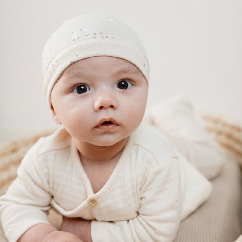 Muts -  Little Goose, Little Dutch